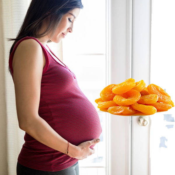 dried apricot in pregnancy