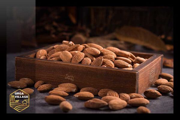 iranian almonds wholsale