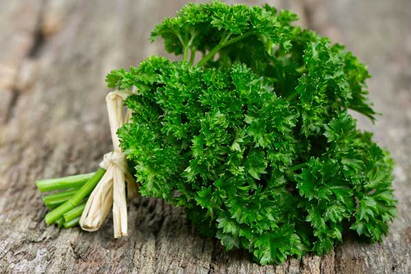 Italian-Parsley